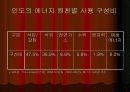 개발도상국의 에너지정책 입장(중국,인도 ,기타국가의 에너지정책과 대처방안,입장) 9페이지