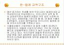 한국-칠레 FTA의 진행과정과 성과, 문제점과 개선방안 14페이지