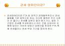 한국-칠레 FTA의 진행과정과 성과, 문제점과 개선방안 17페이지