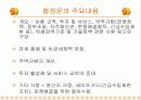 한국-칠레 FTA의 진행과정과 성과, 문제점과 개선방안 20페이지