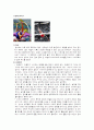 필드경기(육상경기) 7페이지