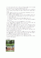 필드경기(육상경기) 13페이지