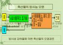 방사능에 의한 식품오염(음료수,농작물,축산물,수산물등 완벽정리) 5페이지