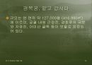 조선왕조500년이 숨쉬는 경복궁 10페이지