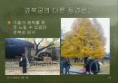 조선왕조500년이 숨쉬는 경복궁 34페이지
