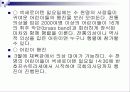 [PPT자료] 스위스의  섹세로이텐  축제 5페이지