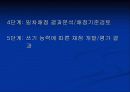 채점자 훈련이 영어 작문에 미치는 효과 15페이지