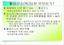활성산소의 발생원인과 질병, 항산화에 대하여 2페이지