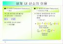 활성산소의 발생원인과 질병, 항산화에 대하여 5페이지