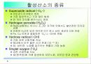 활성산소의 발생원인과 질병, 항산화에 대하여 6페이지