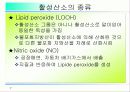 활성산소의 발생원인과 질병, 항산화에 대하여 7페이지