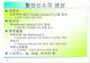 활성산소의 발생원인과 질병, 항산화에 대하여 9페이지