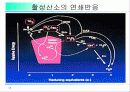 활성산소의 발생원인과 질병, 항산화에 대하여 11페이지