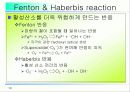 활성산소의 발생원인과 질병, 항산화에 대하여 13페이지