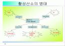 활성산소의 발생원인과 질병, 항산화에 대하여 15페이지