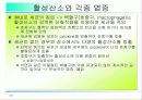 활성산소의 발생원인과 질병, 항산화에 대하여 17페이지