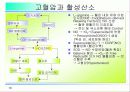 활성산소의 발생원인과 질병, 항산화에 대하여 18페이지