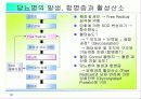 활성산소의 발생원인과 질병, 항산화에 대하여 19페이지