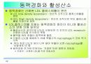 활성산소의 발생원인과 질병, 항산화에 대하여 22페이지