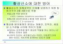 활성산소의 발생원인과 질병, 항산화에 대하여 23페이지