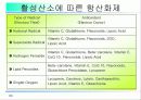 활성산소의 발생원인과 질병, 항산화에 대하여 24페이지