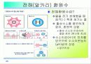 활성산소의 발생원인과 질병, 항산화에 대하여 28페이지