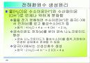 활성산소의 발생원인과 질병, 항산화에 대하여 29페이지