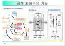 활성산소의 발생원인과 질병, 항산화에 대하여 30페이지