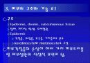 아토피성 피부질환 5페이지