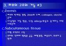 아토피성 피부질환 8페이지