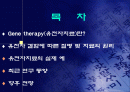 유전자 치료 gene therapy 2페이지