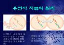 유전자 치료 gene therapy 11페이지