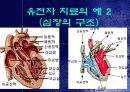유전자 치료 gene therapy 15페이지