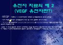 유전자 치료 gene therapy 18페이지