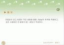 유체역학 혼합기 10페이지