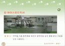 유체역학 혼합기 17페이지