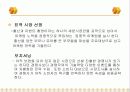 [창업계획서] 온라인베이비비디오창업 11페이지