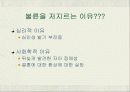 (성과윤리)우리시대의 불륜이란?[영화,드라마,설문조사] 13페이지