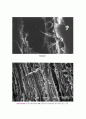 WPC (Wood Polymer Composite) 목재- Polymer 복합체 6페이지
