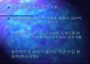 석재의 가공 및 마감 4페이지