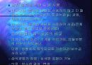 석재의 가공 및 마감 5페이지