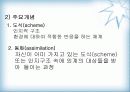 인지발달 ppt 4페이지