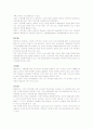 테마파크경영론 4페이지
