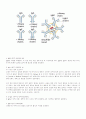 항체, T cell, 항원제공세포 3페이지