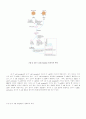 항체, T cell, 항원제공세포 14페이지