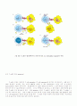 항체, T cell, 항원제공세포 30페이지