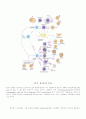 항체, T cell, 항원제공세포 34페이지