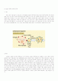 선천성 면역, 후천성면역, 세포성면역, 체액성면역 19페이지