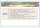 허브농장사업계획서 24페이지