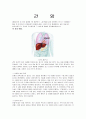 간암 발생의 주 원인과 역할 1페이지